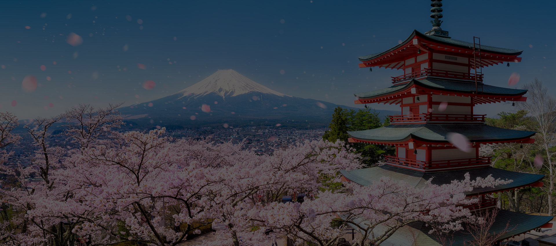 À la découverte du Japon profond et authentique