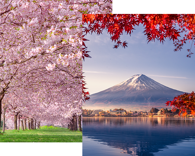 Découvrir le Japon sous toutes ses splendeurs 1