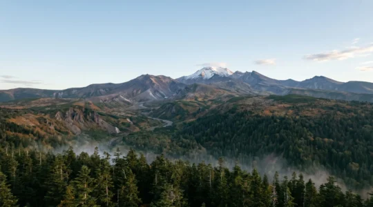 Paysage montagneux spectaculaire d'un parc national japonais avec sommets volcaniques et forêts denses