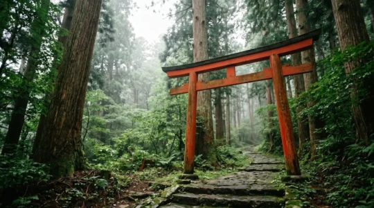 Portique torii vermillon traditionnel d'un sanctuaire shintoïste japonais dans une forêt paisible